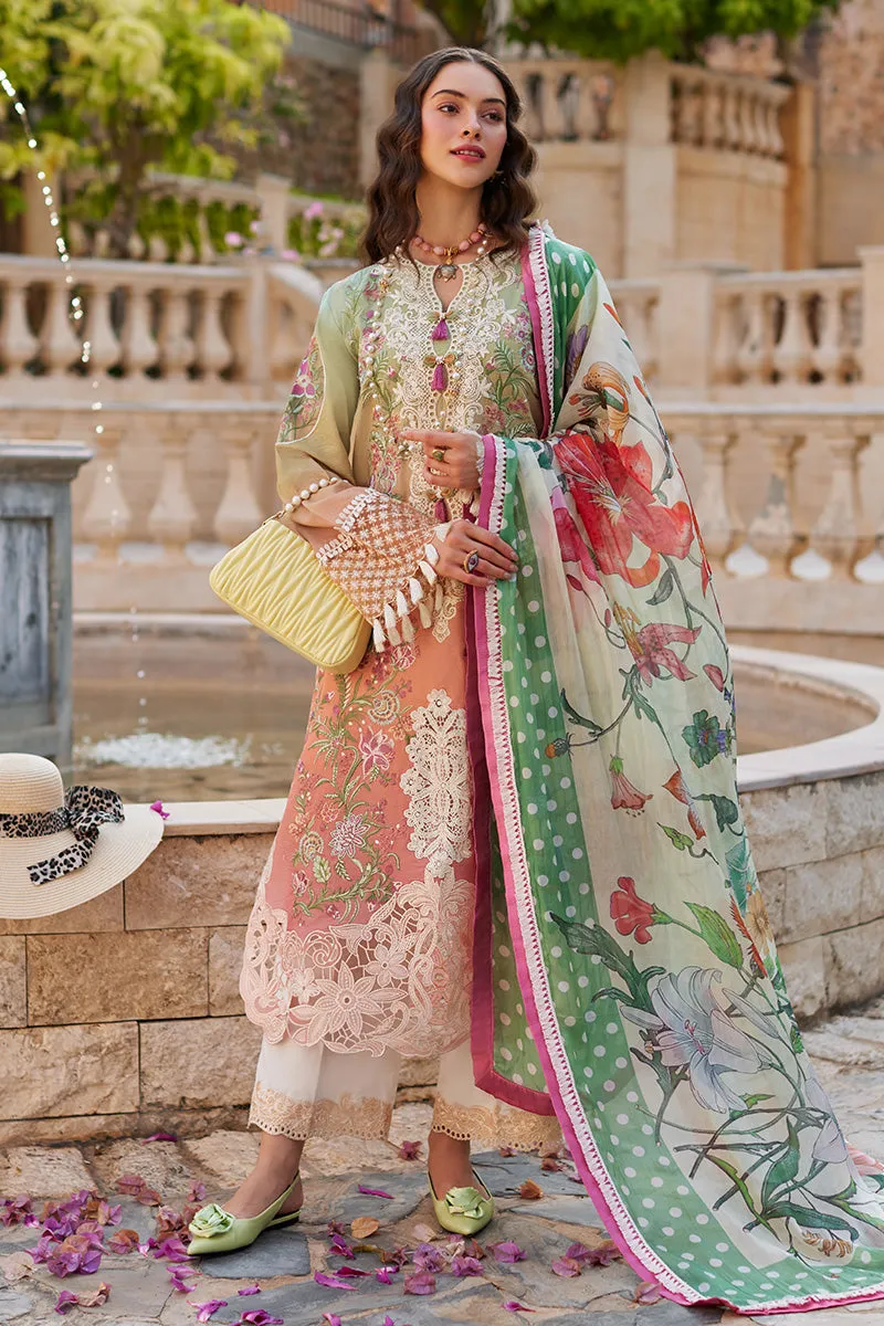 MUSHQ | TE AMO LUXURY LAWN '24 | VENICE VERVE