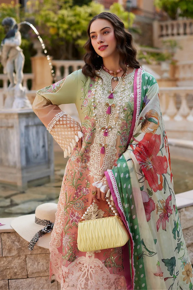 MUSHQ | TE AMO LUXURY LAWN '24 | VENICE VERVE