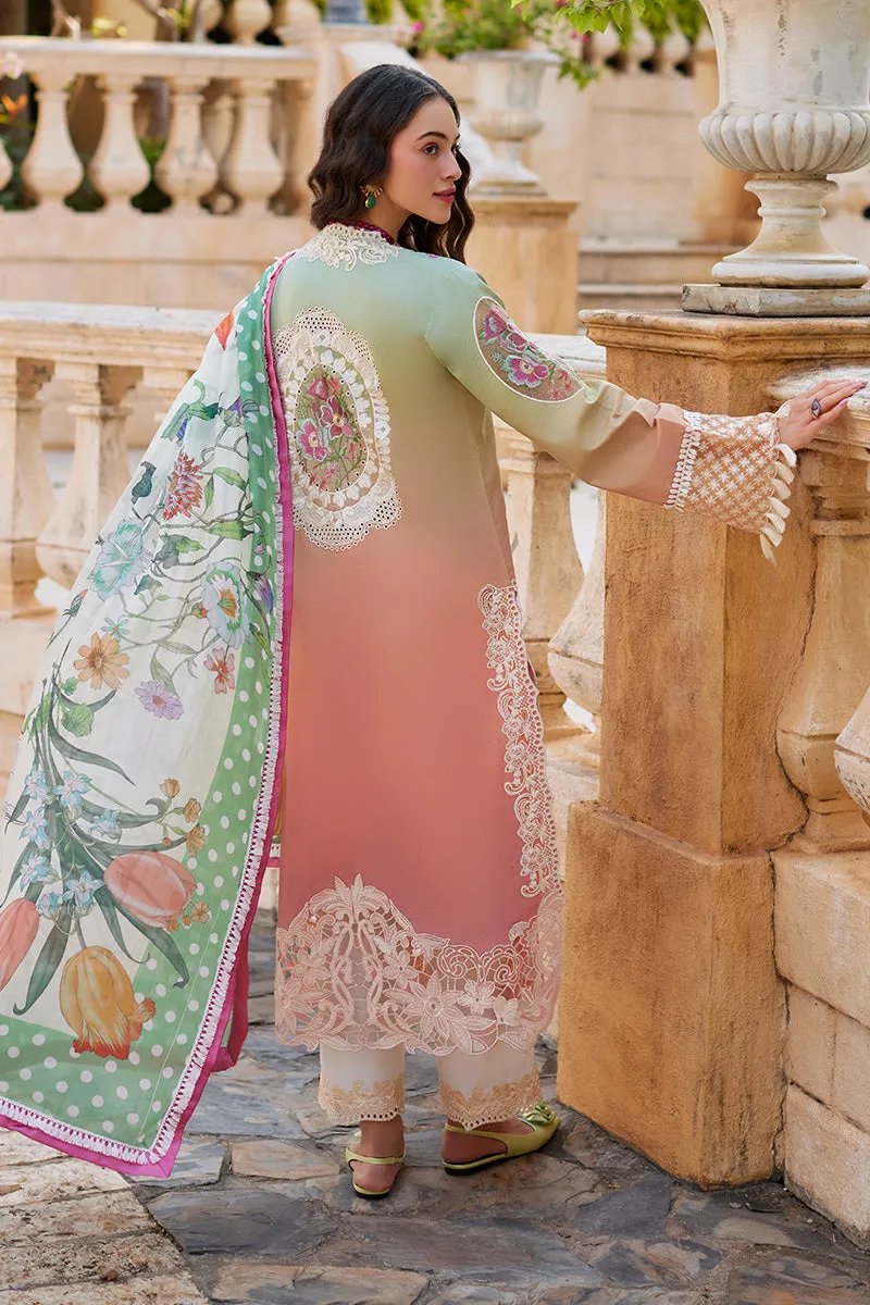 MUSHQ | TE AMO LUXURY LAWN '24 | VENICE VERVE