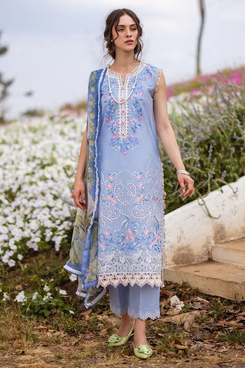 MUSHQ | THE SECRET GARDEN | MYOSITIS