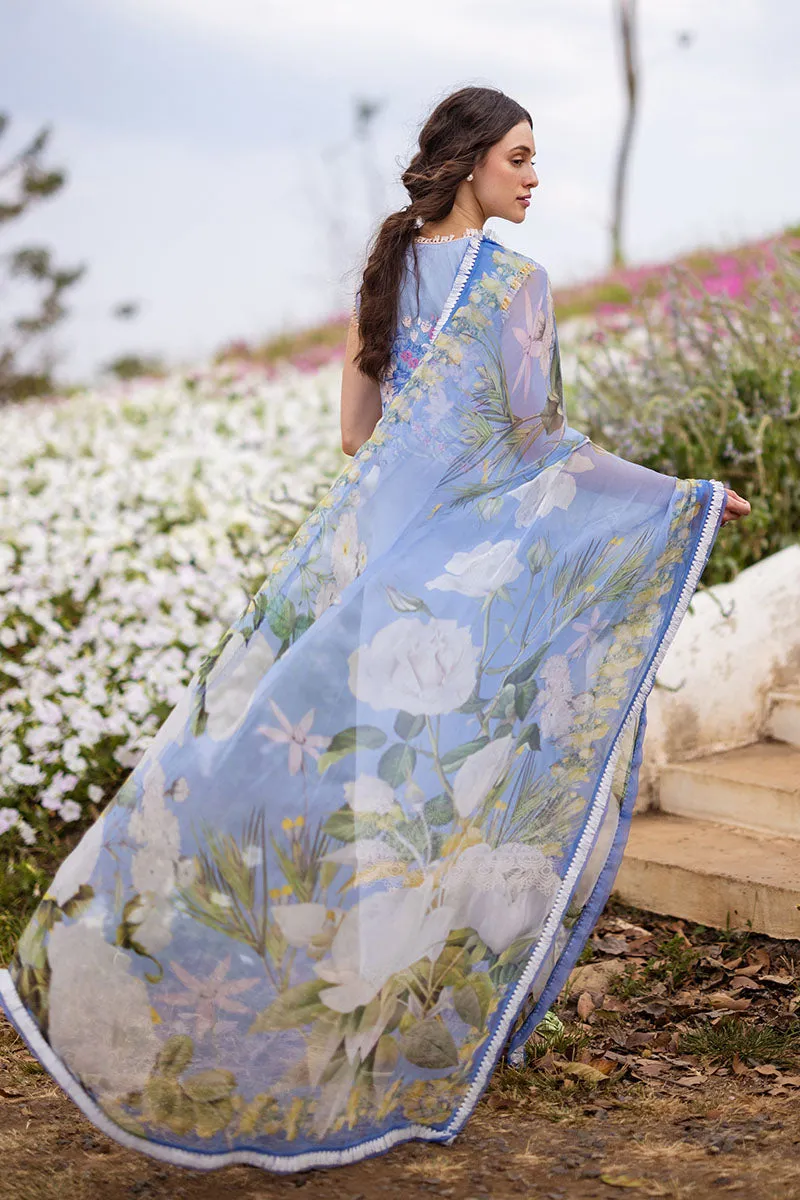 MUSHQ | THE SECRET GARDEN | MYOSITIS