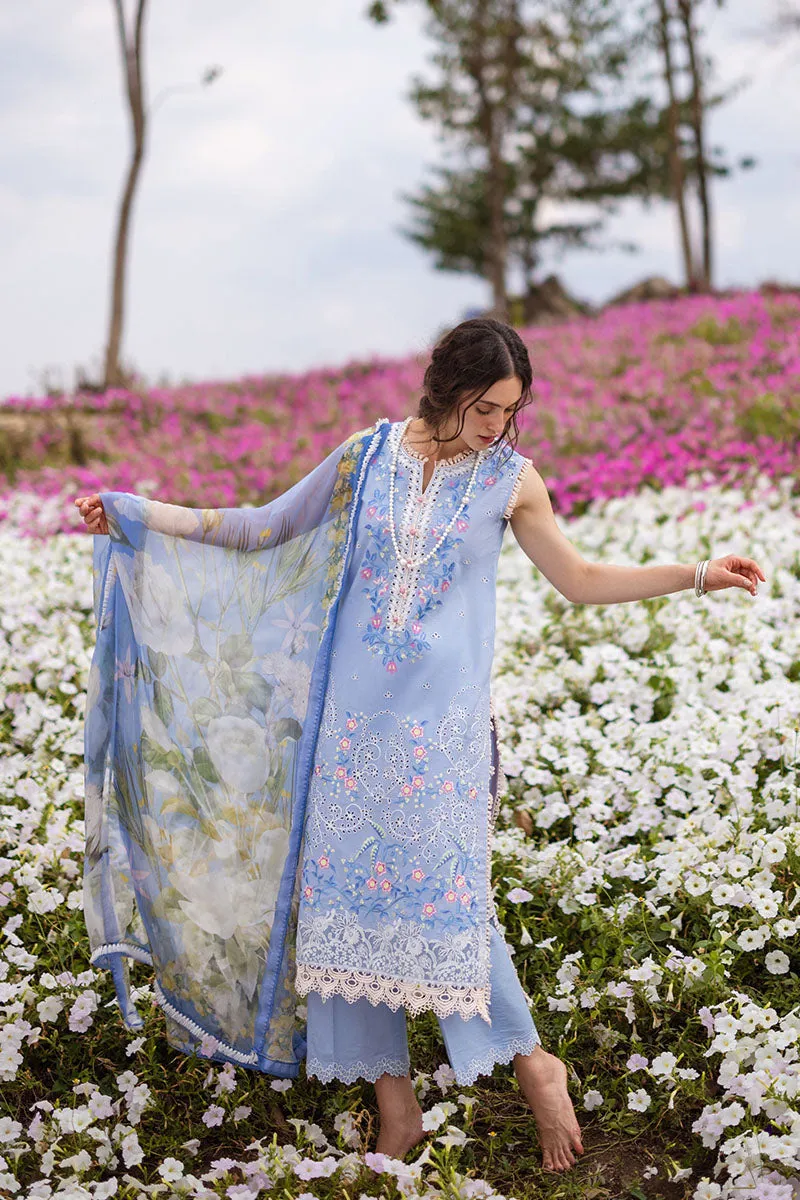 MUSHQ | THE SECRET GARDEN | MYOSITIS