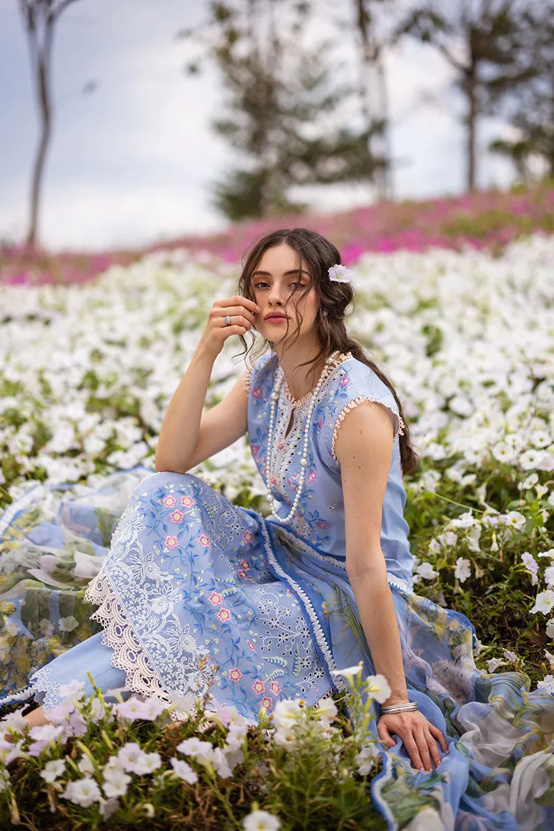 MUSHQ | THE SECRET GARDEN | MYOSITIS