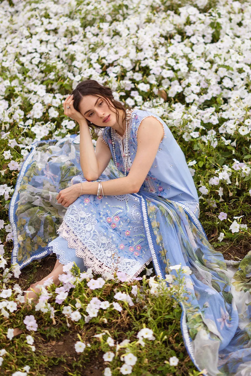 MUSHQ | THE SECRET GARDEN | MYOSITIS