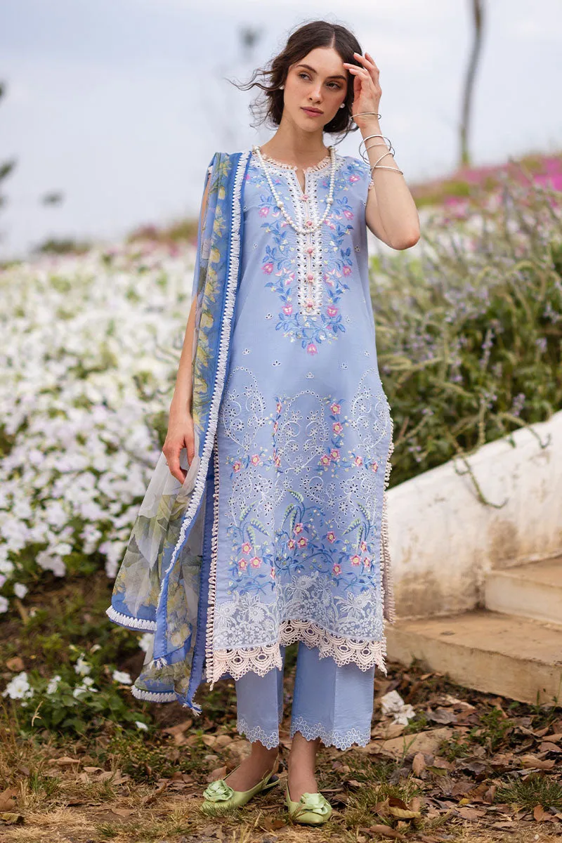 MUSHQ | THE SECRET GARDEN | MYOSITIS
