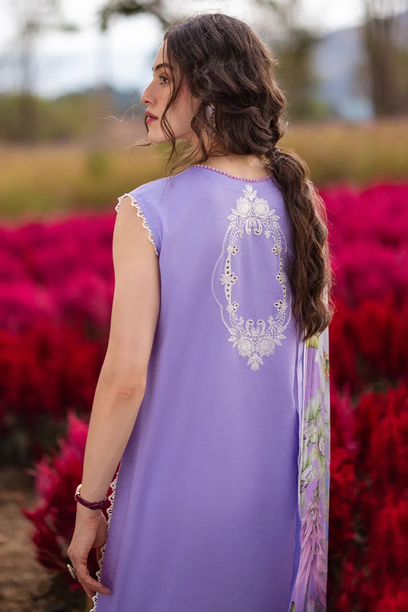 MUSHQ | THE SECRET GARDEN | NOVELLA