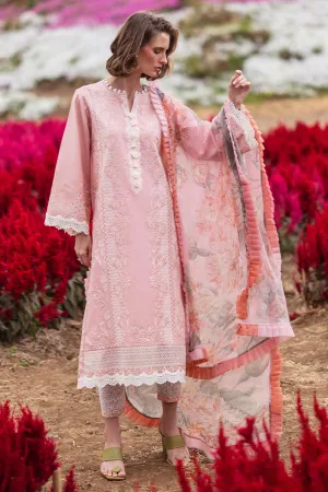 MUSHQ | THE SECRET GARDEN | ROSEWOOD