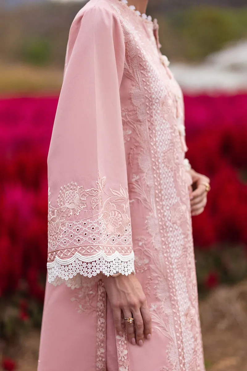 MUSHQ | THE SECRET GARDEN | ROSEWOOD