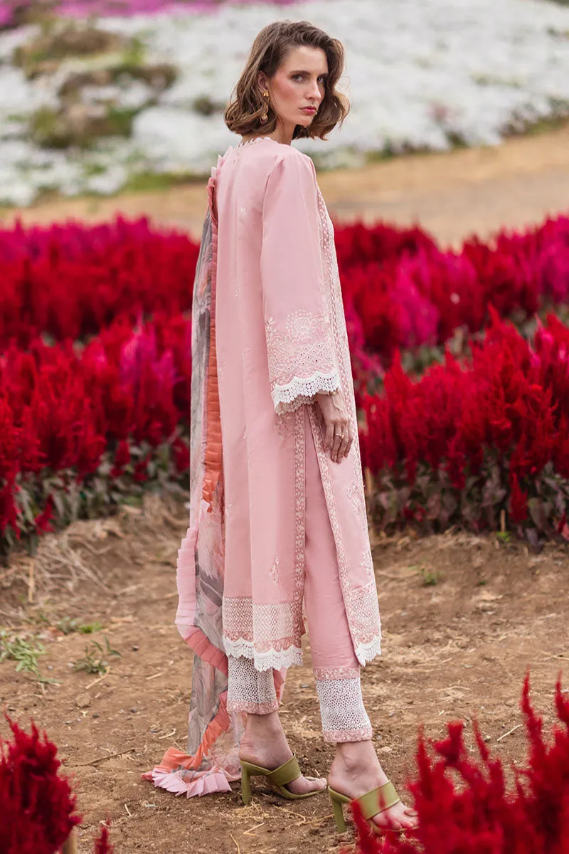 MUSHQ | THE SECRET GARDEN | ROSEWOOD