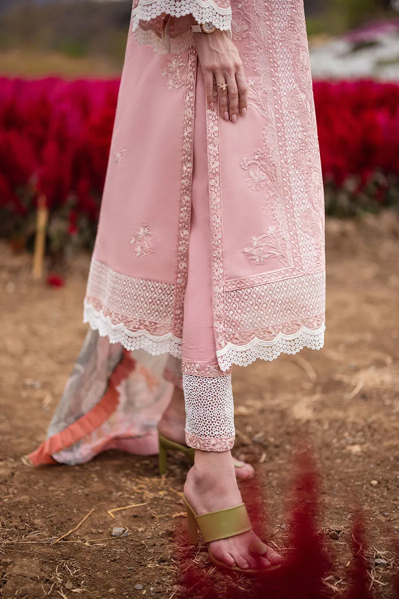 MUSHQ | THE SECRET GARDEN | ROSEWOOD