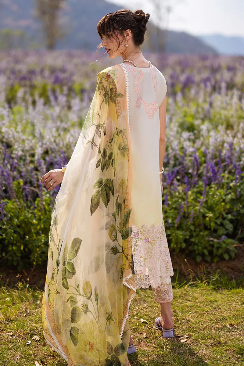 MUSHQ | THE SECRET GARDEN | SERENITY