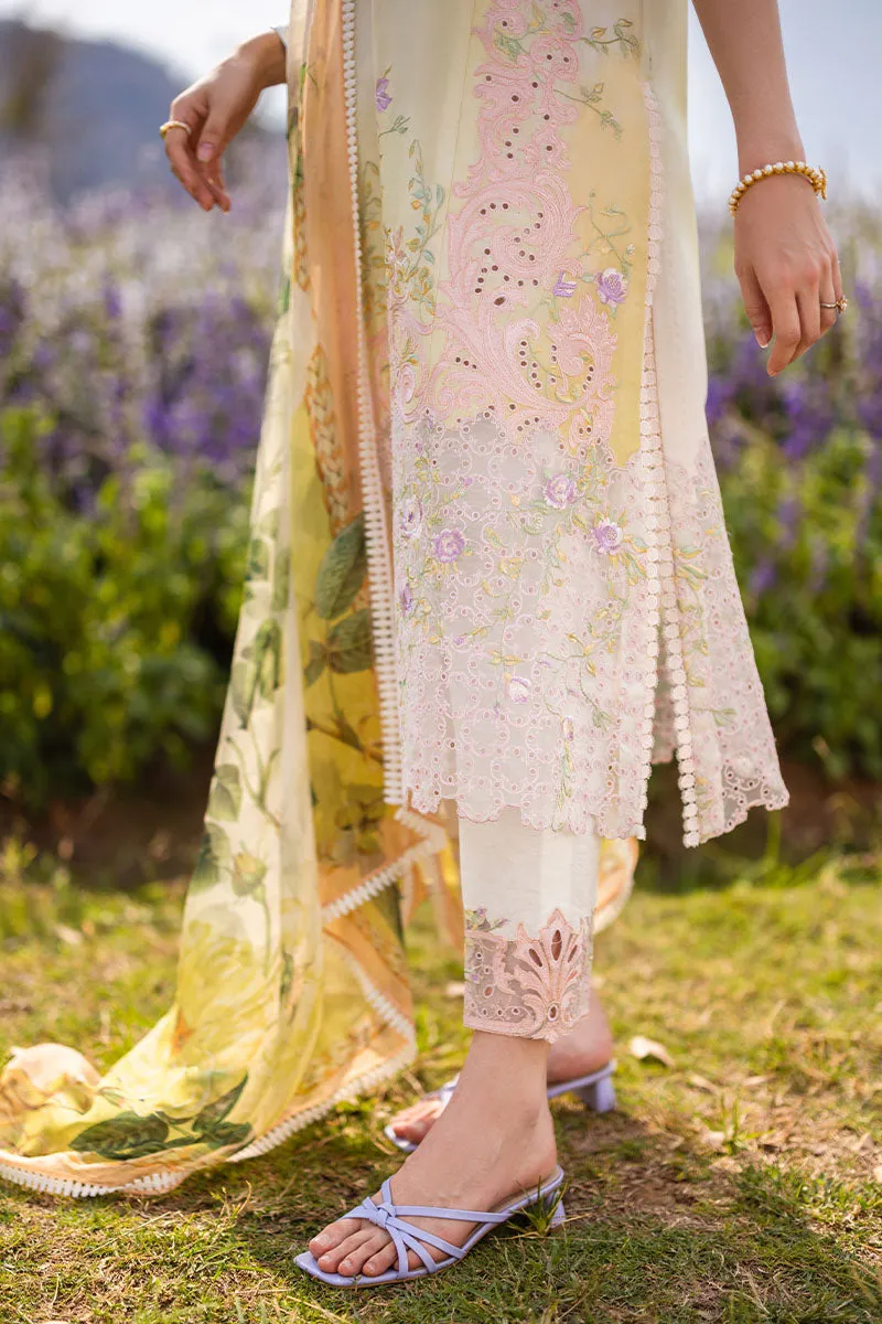 MUSHQ | THE SECRET GARDEN | SERENITY