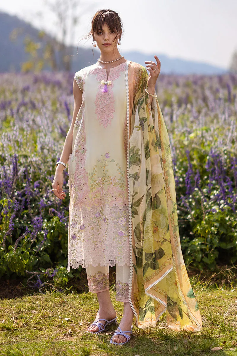 MUSHQ | THE SECRET GARDEN | SERENITY