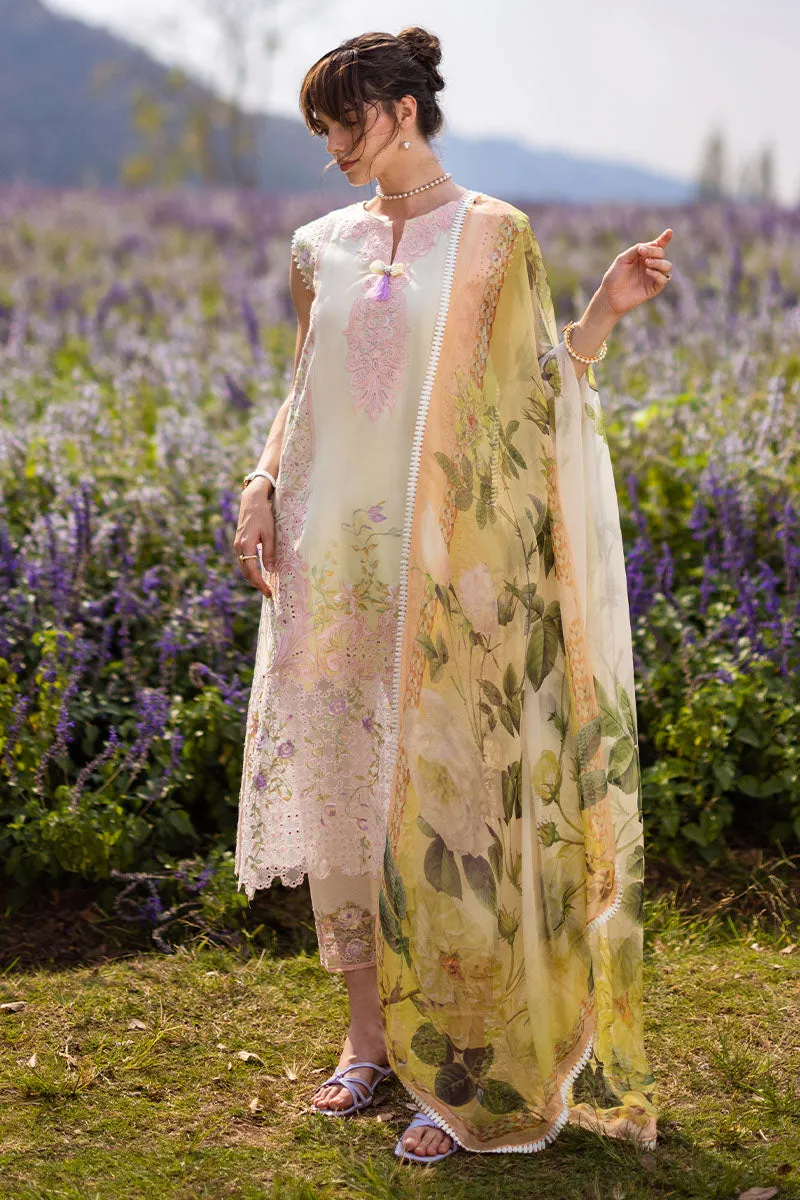 MUSHQ | THE SECRET GARDEN | SERENITY