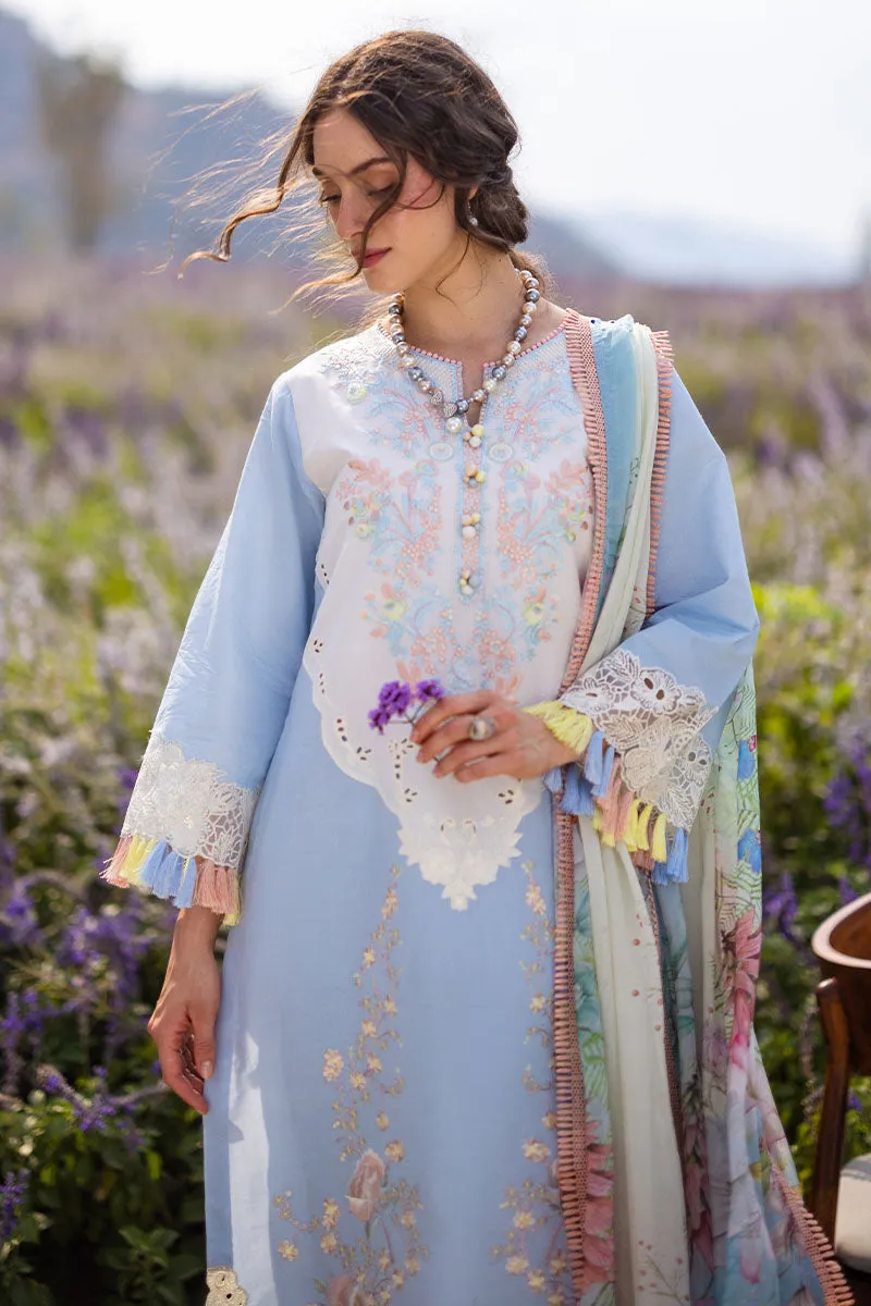 MUSHQ | THE SECRET GARDEN | SOLARA
