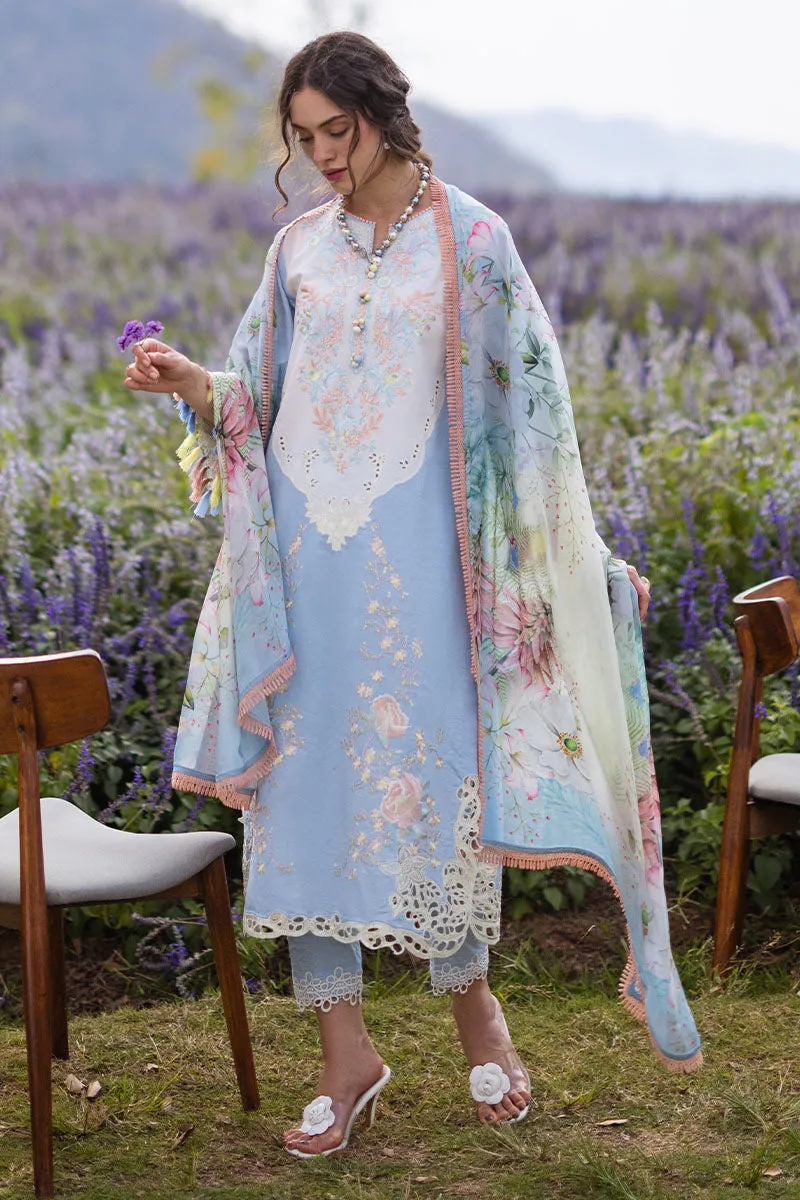 MUSHQ | THE SECRET GARDEN | SOLARA
