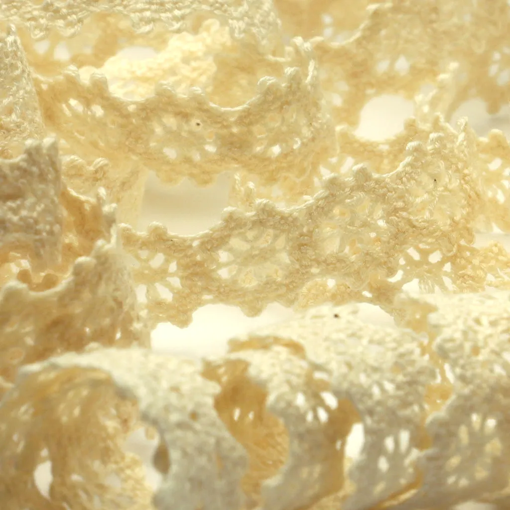 Organic Cotton Torchon Lace #00 Ecru