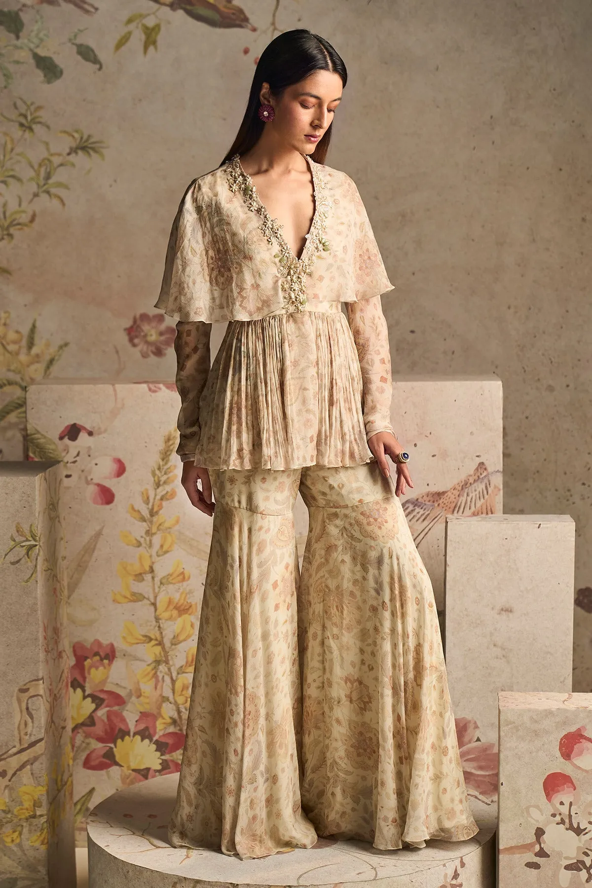 POMP PEPLUM SHARARA SET