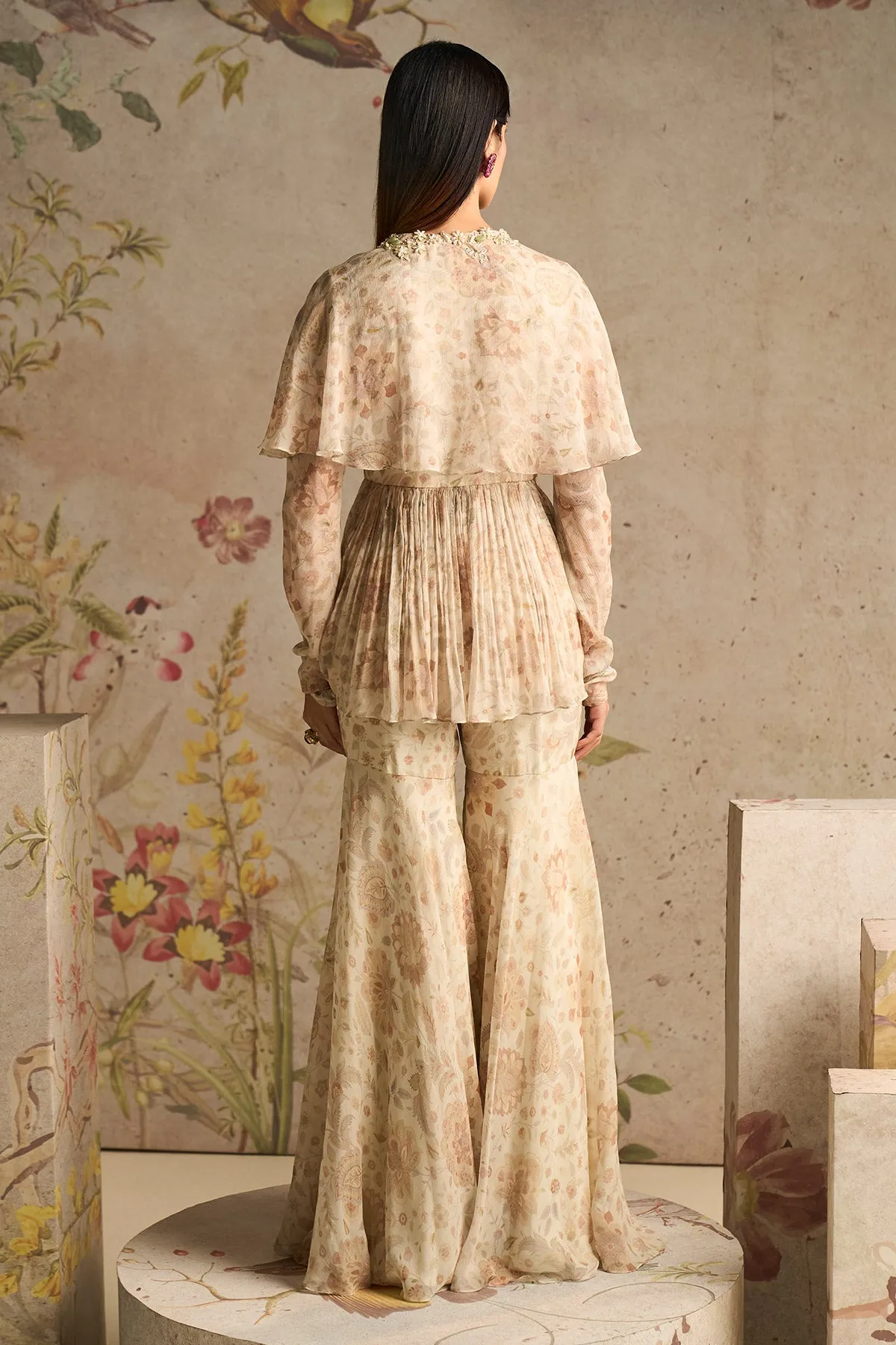 POMP PEPLUM SHARARA SET