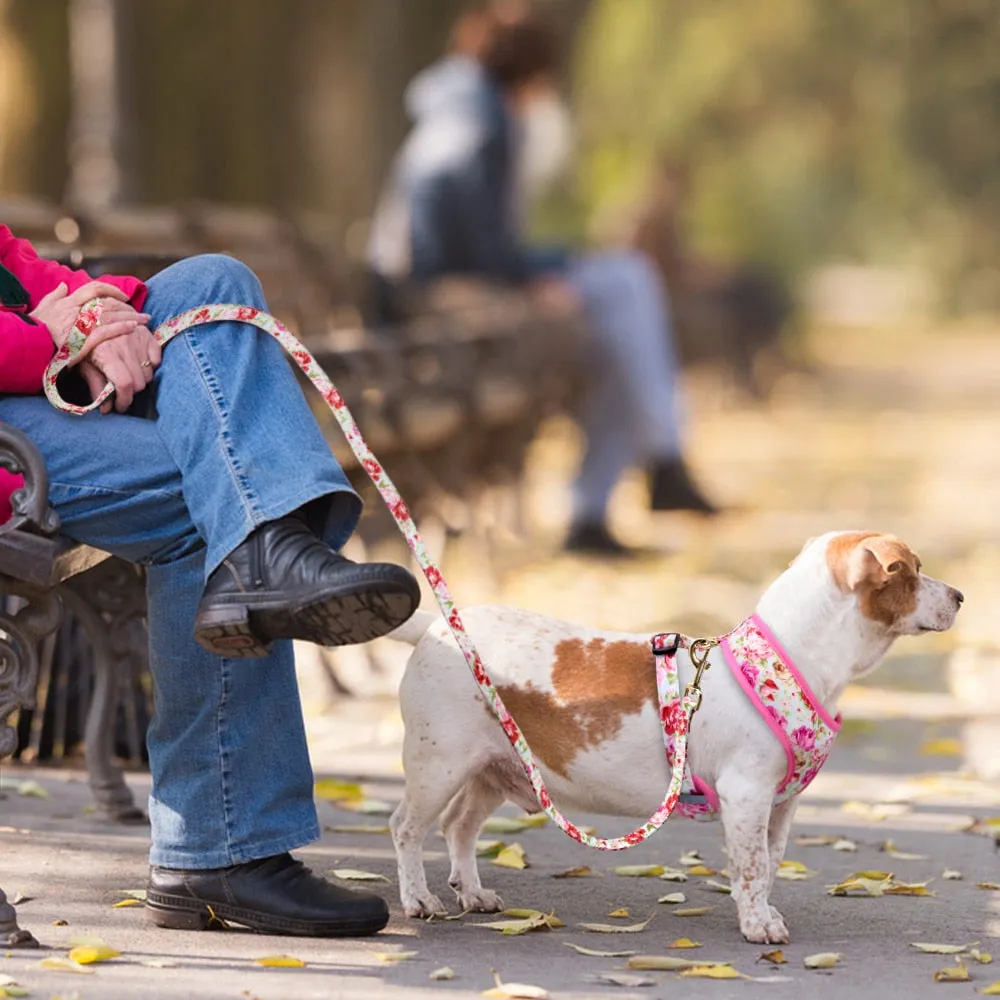 Printed Dog Harness Leash Set | Soft Mesh | Adjustable Walking Lead