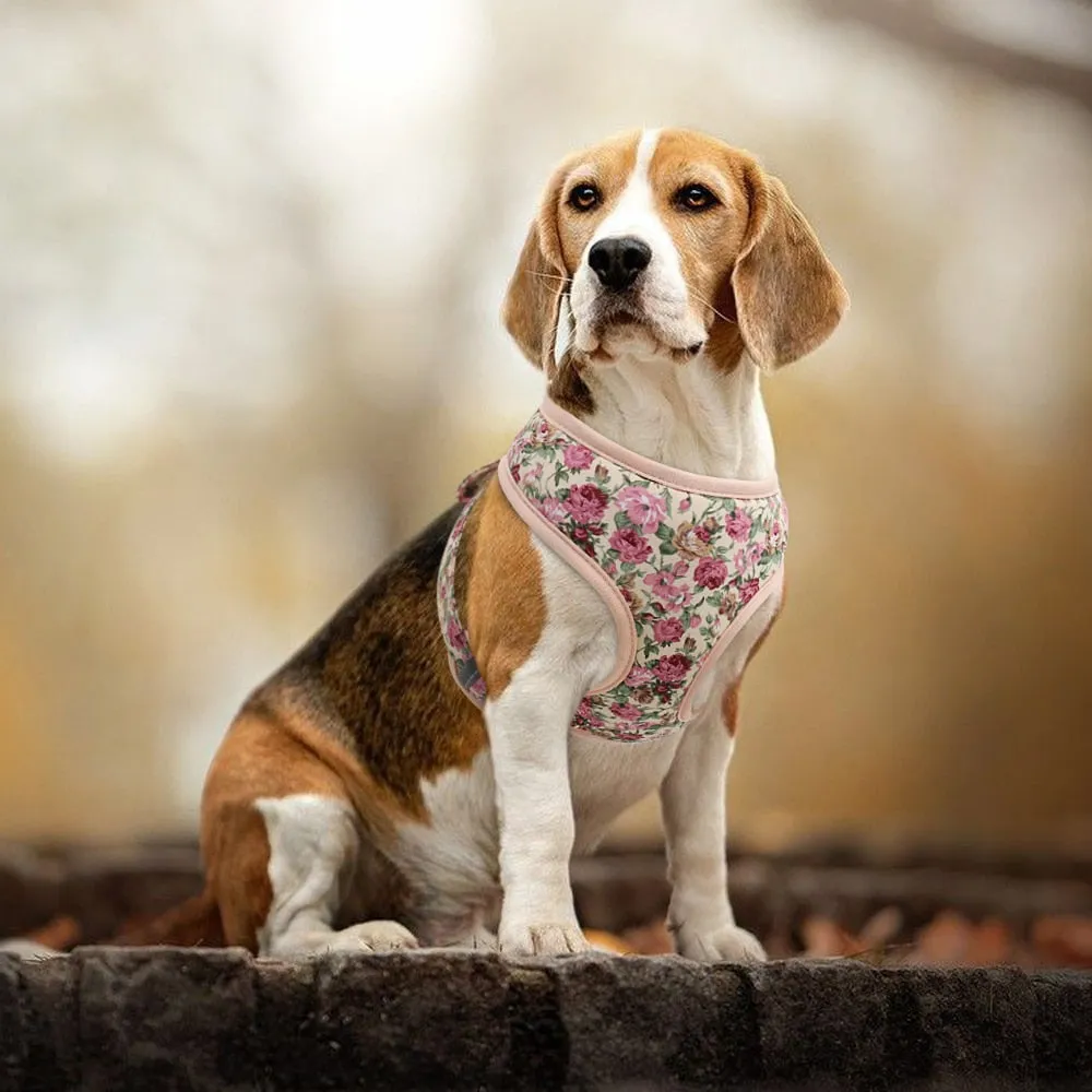 Printed Dog Harness Leash Set | Soft Mesh | Adjustable Walking Lead