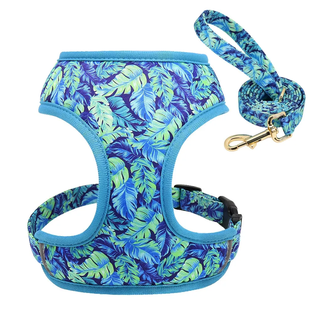 Printed Dog Harness Leash Set | Soft Mesh | Adjustable Walking Lead