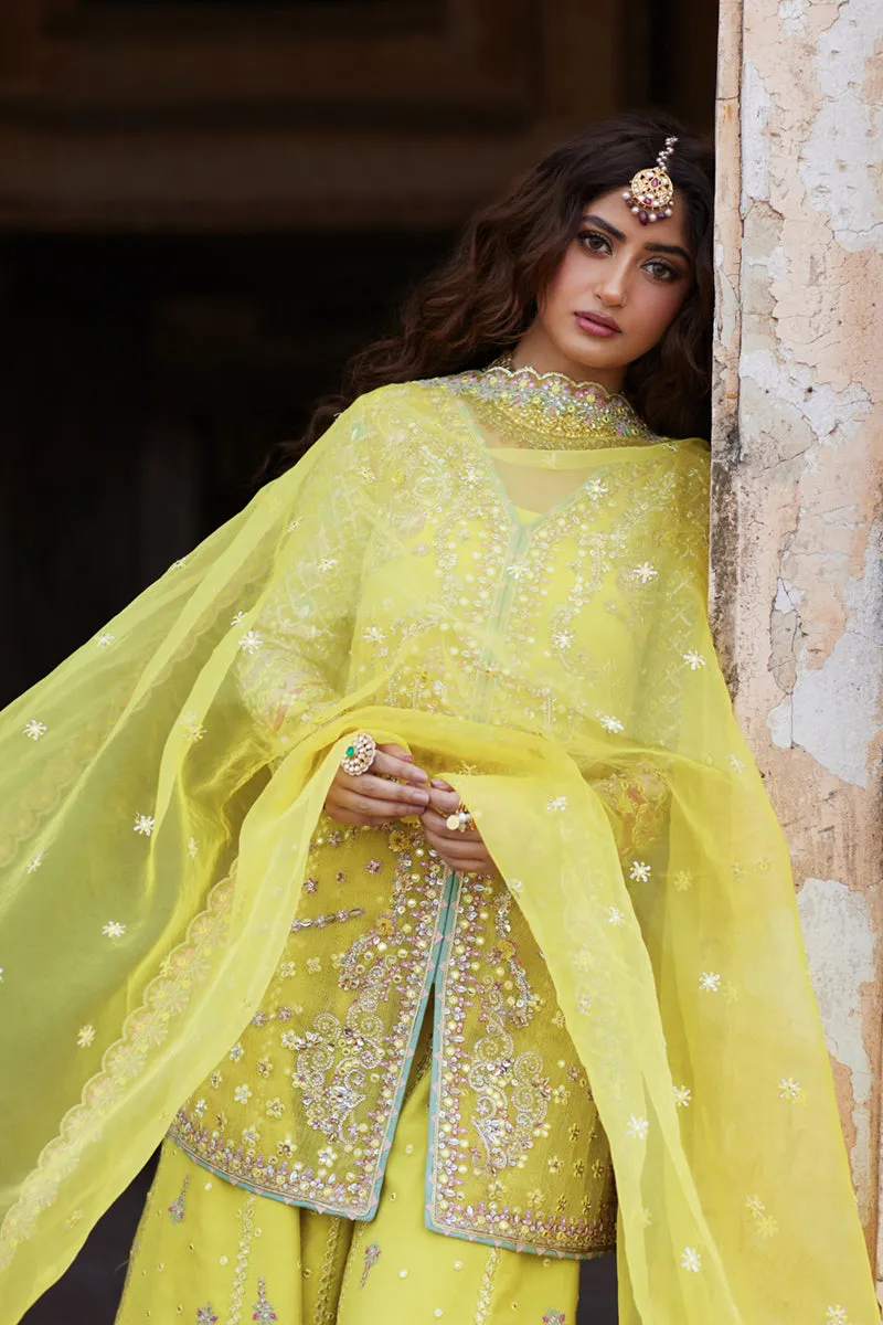 Qalamkar Sadmani Luxury Formals Unstitched 3pcs