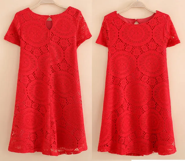 Short Sleeve A-Line Hollow Out Lace Dress  Multiple Colors
