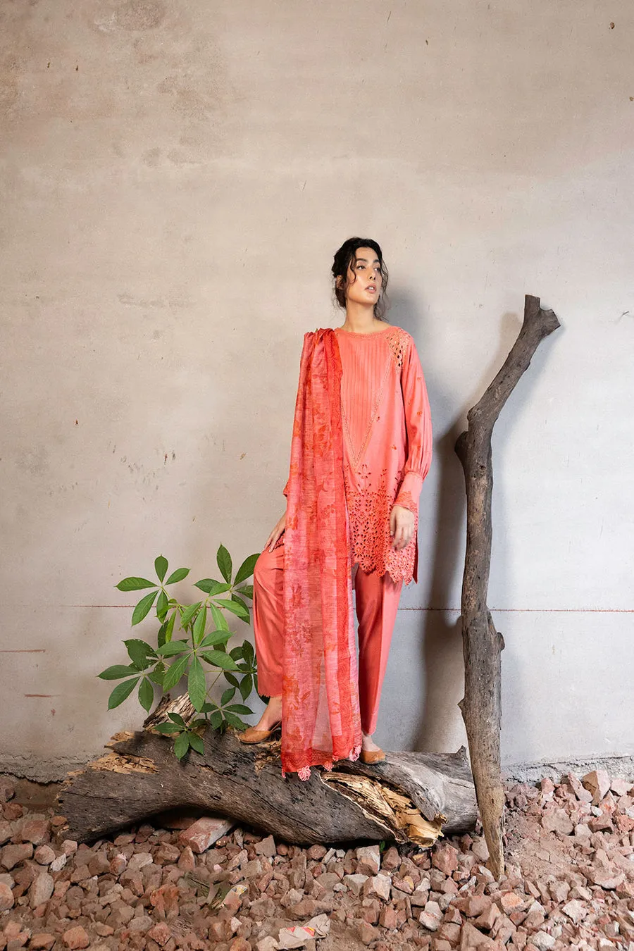 SOBIA NAZIR | FALL EDIT '24 | 6B