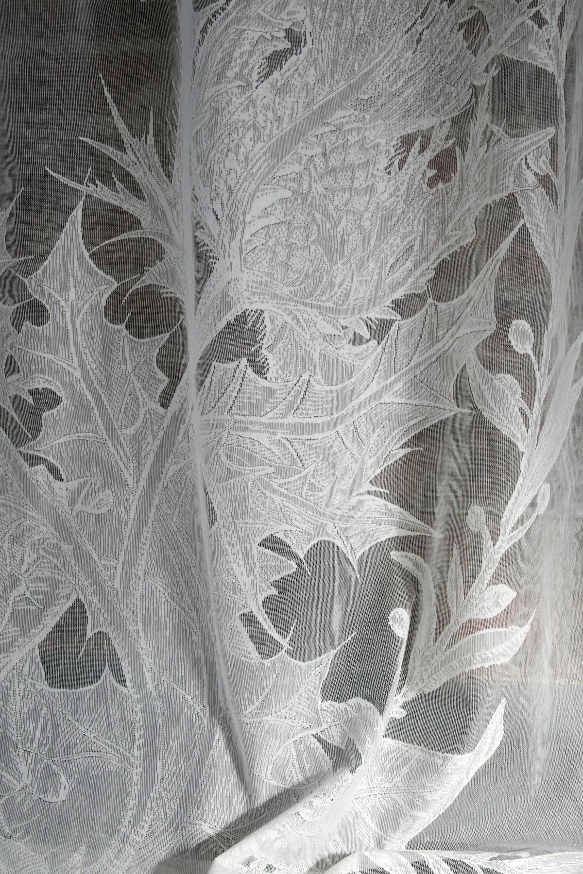 thistle lace fabric