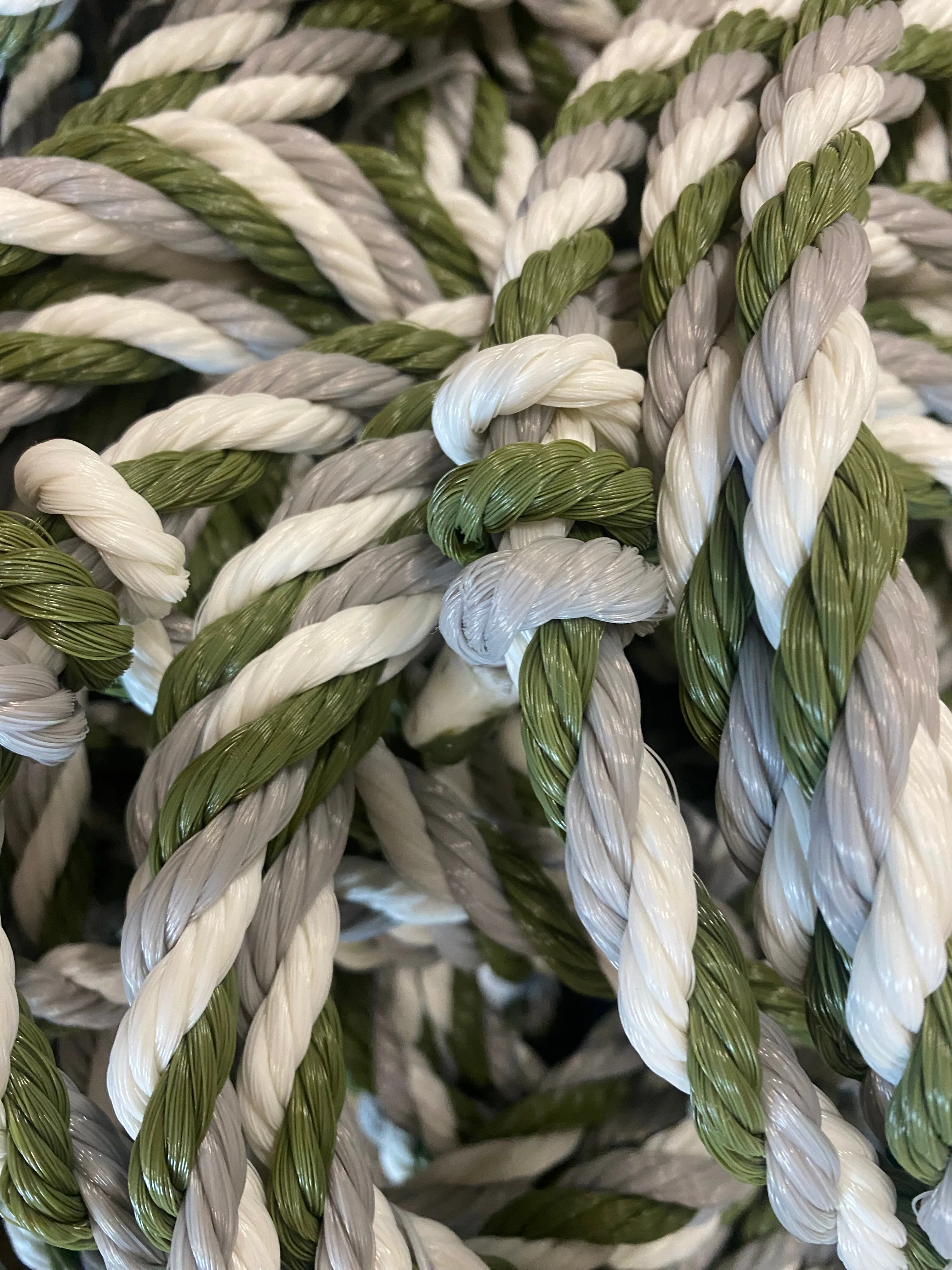 Training halter - Limited edition