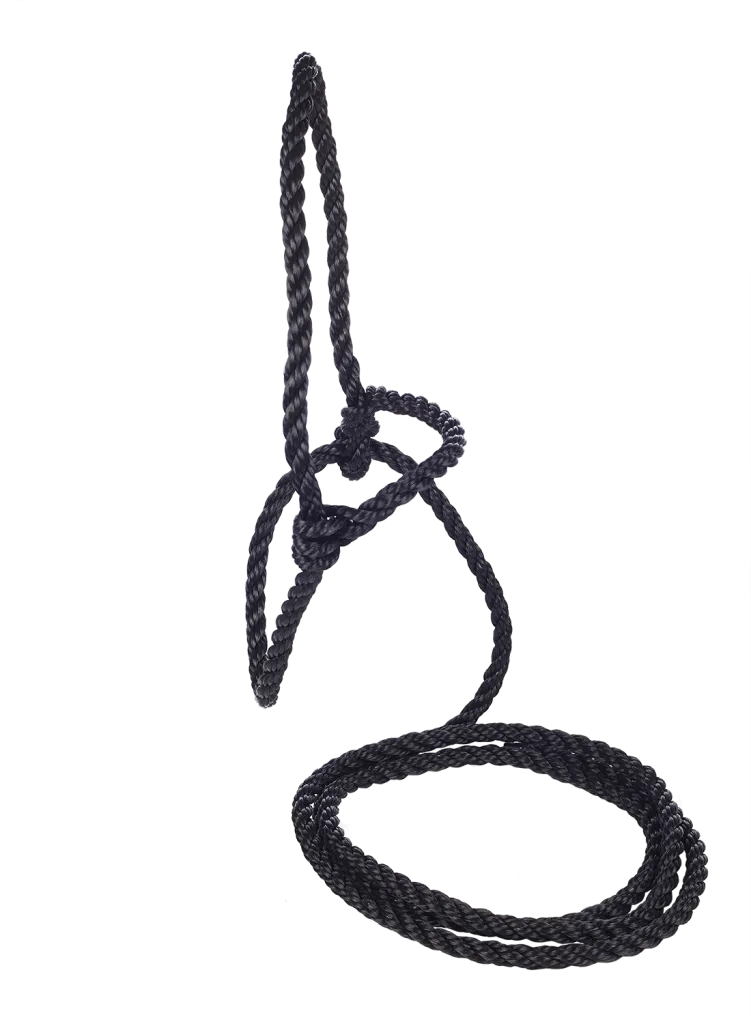 Training halter
