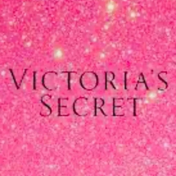 Victoria's Secret Vintage Angels Lace Embroidered Hiphugger Nylon Panty NWT
