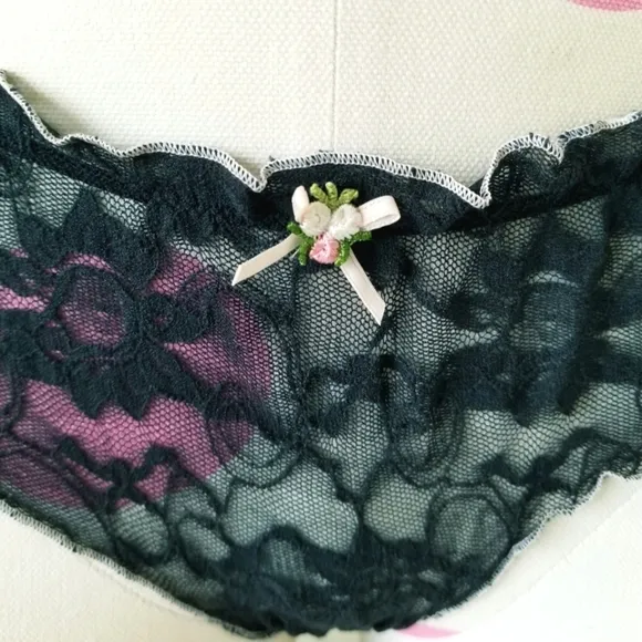 Victoria's Secret Vintage Angels Lace Embroidered Hiphugger Nylon Panty NWT