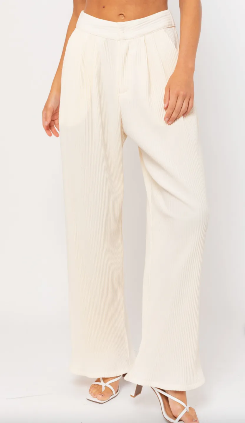Wide Leg Pleated Pants