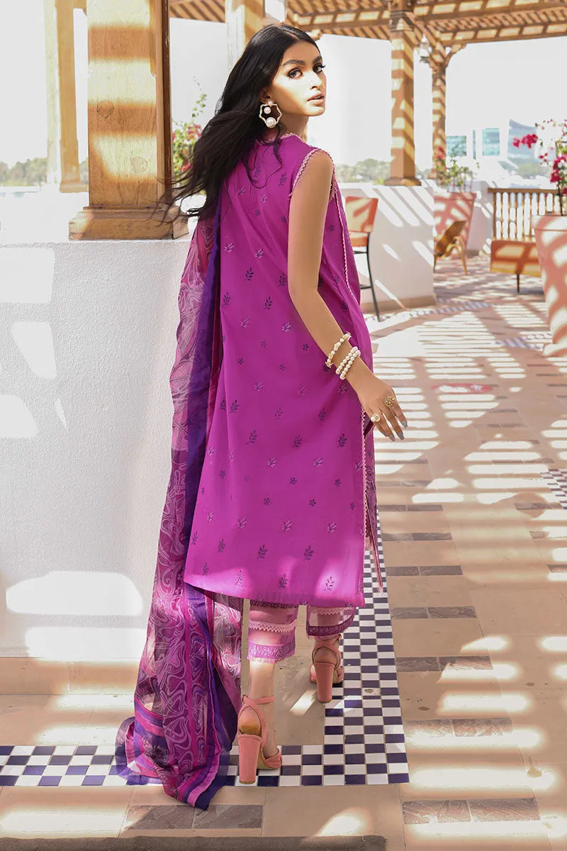 Wild Aster | Mushq Hemline Spring/Summer Lawn Collection 2022 | Unstitched Embroidered Lawn Suits