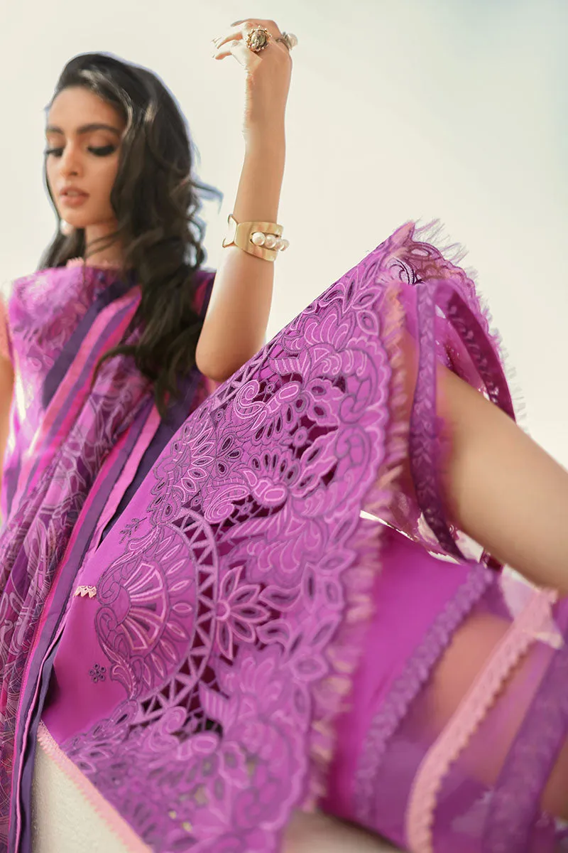 Wild Aster | Mushq Hemline Spring/Summer Lawn Collection 2022 | Unstitched Embroidered Lawn Suits