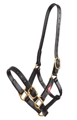 Zilco 25mm PN Headstall Black